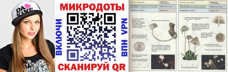 Галлюциногенные грибы ЛСД  Купить  Кущёвская 