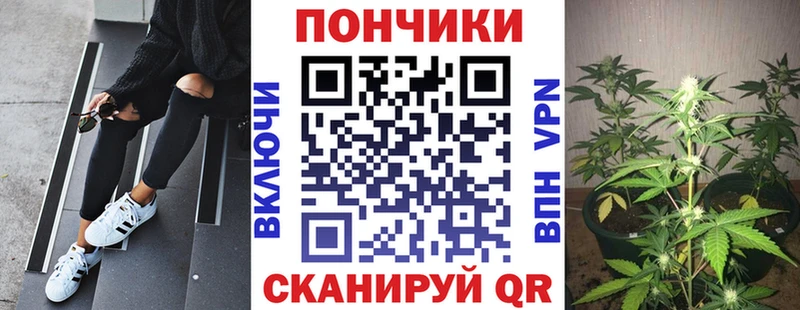 Купить  Кущёвская  Шишки марихуана ГИДРОПОН 